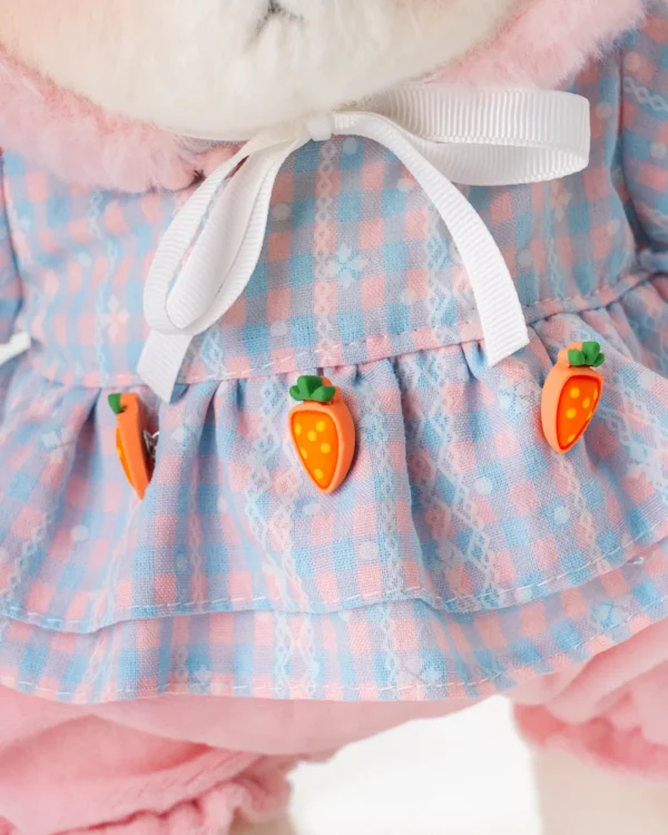 vue de près de l'adorable petit robe