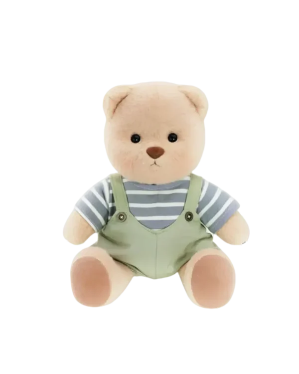 Petit nounours brun en salopette verte assis de face