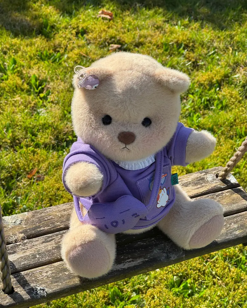 petit nounours brun habillé en pull mauve assis sur la balancoire